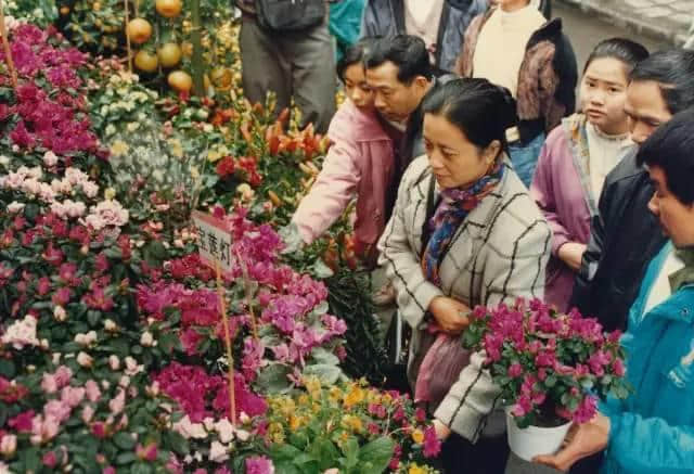 點解廣州人過年唔鐘意睇春晚？因為我哋鐘意行花街咯！