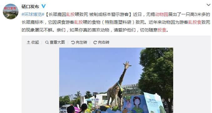 動物園游客不文明行為之最，呢種貌似“善意”嘅行為害死唔少動物！