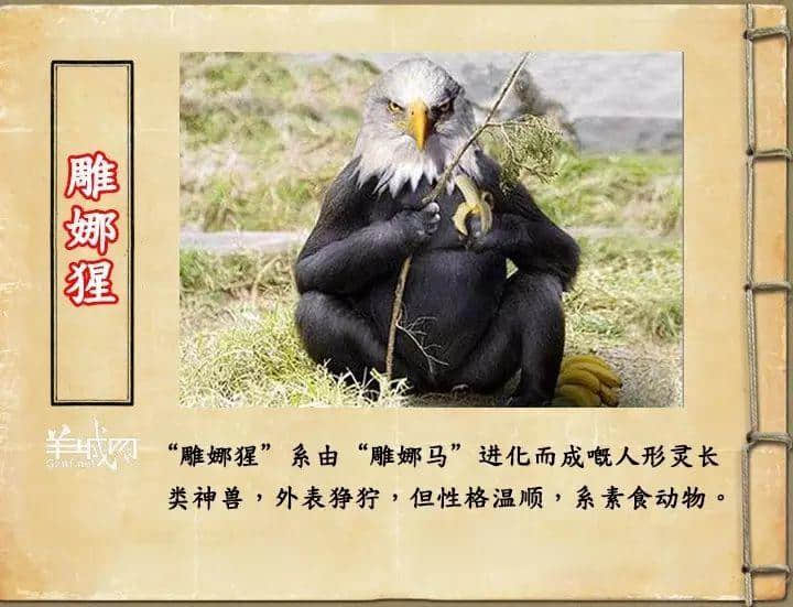 如果JK羅琳系廣州人，《神奇動物在哪里》至少出7集！