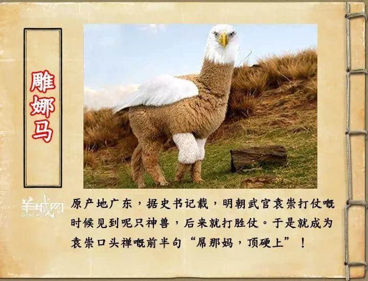 如果JK羅琳系廣州人，《神奇動物在哪里》至少出7集！