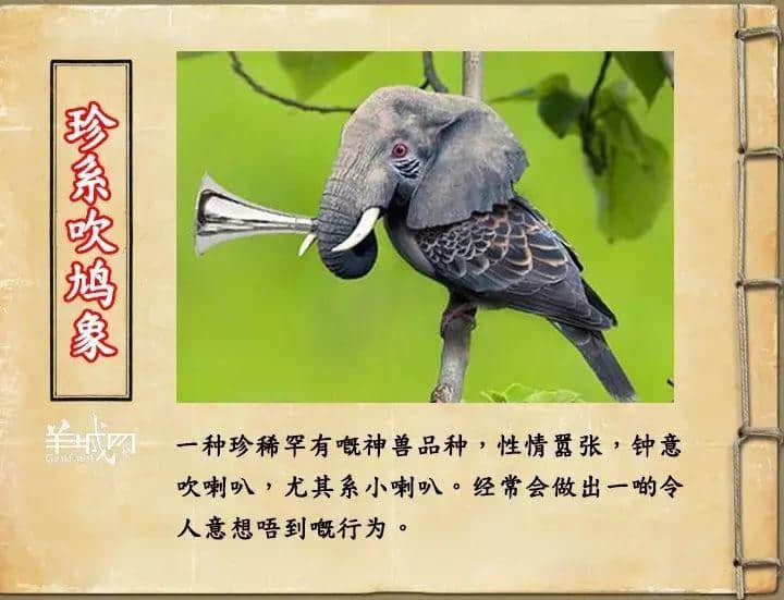 如果JK羅琳系廣州人，《神奇動物在哪里》至少出7集！