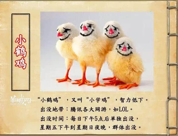 如果JK羅琳系廣州人，《神奇動物在哪里》至少出7集！