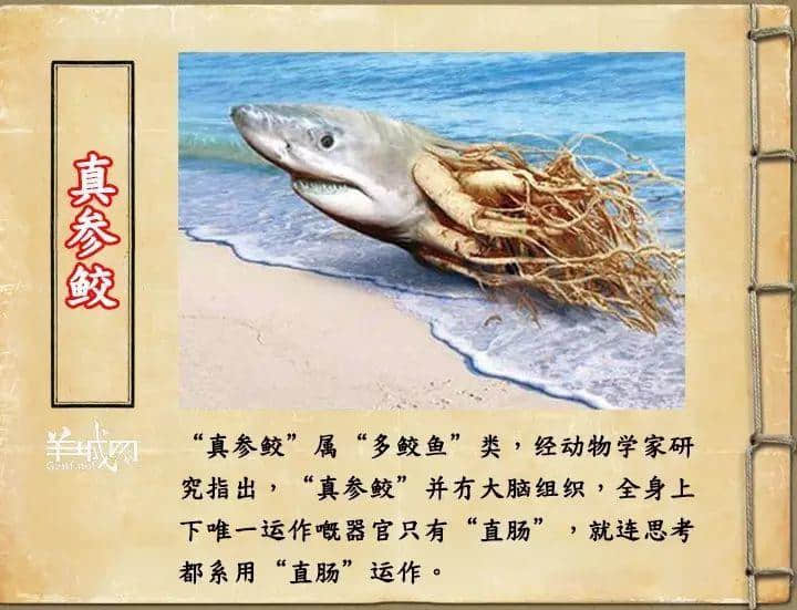 如果JK羅琳系廣州人，《神奇動物在哪里》至少出7集！