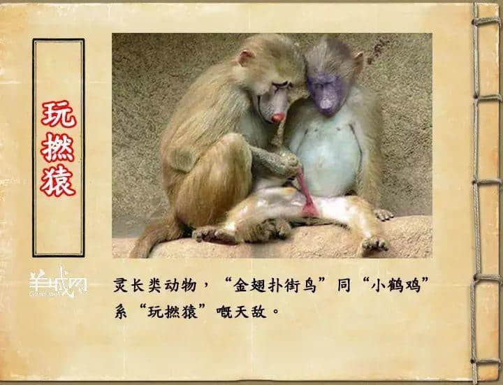 如果JK羅琳系廣州人，《神奇動物在哪里》至少出7集！