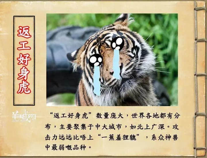 如果JK羅琳系廣州人，《神奇動物在哪里》至少出7集！