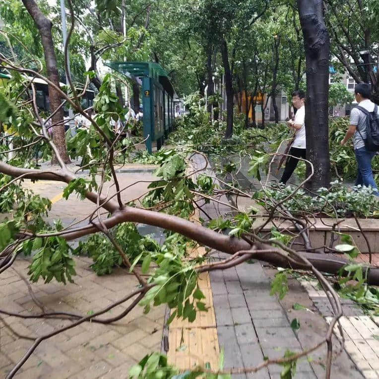 天南地北的“千禧之子”眼中，廣州是怎樣的？