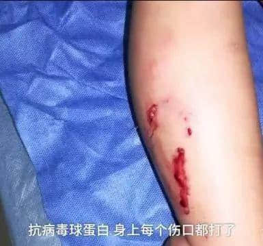 @廣州人，你是個(gè)合格的狗主人嗎？