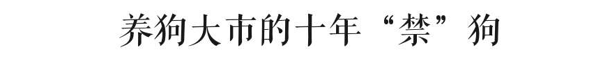 @廣州人，你是個(gè)合格的狗主人嗎？