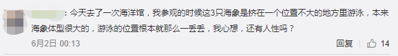 繼“最悲傷北極熊”后，正佳海洋世界又現(xiàn)“海象行商場”？