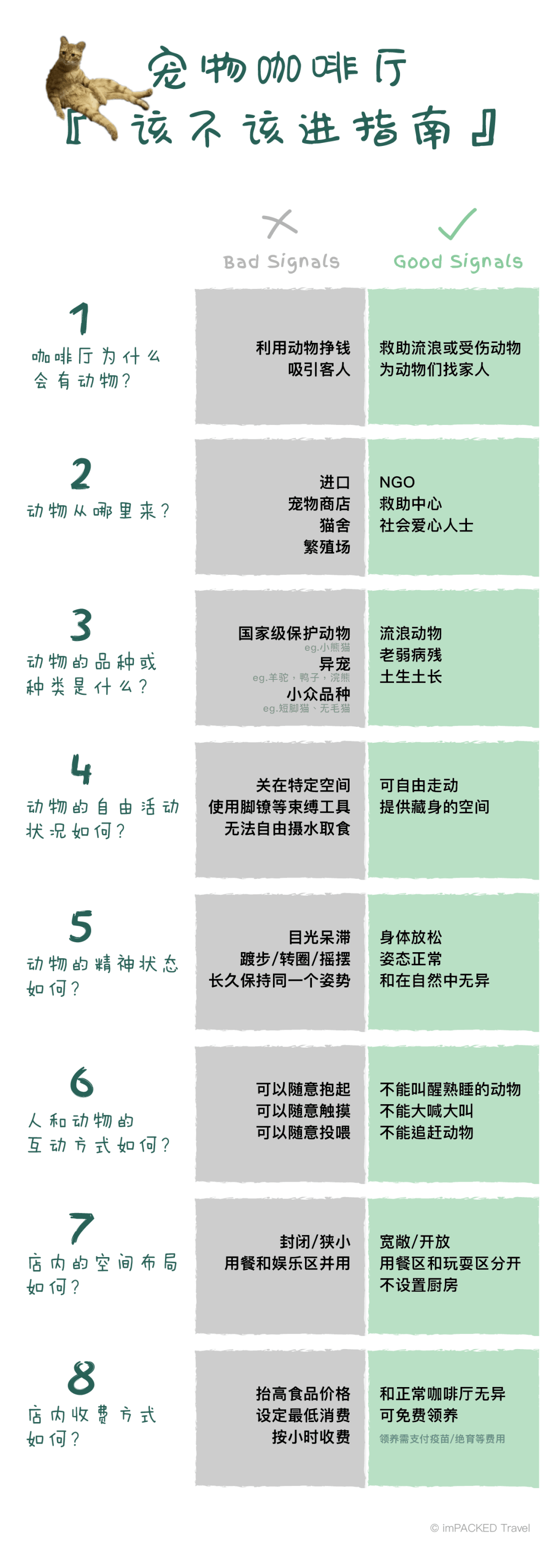 在廣州享受著997福報(bào)的阿貓阿狗：治愈還是致郁？