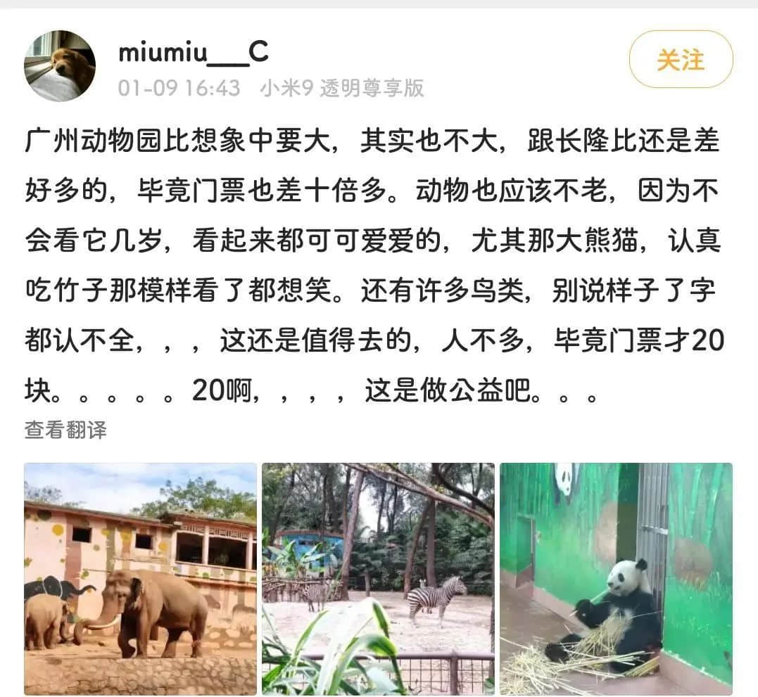 廣州動物園，這次真的要非搬不可了嗎？