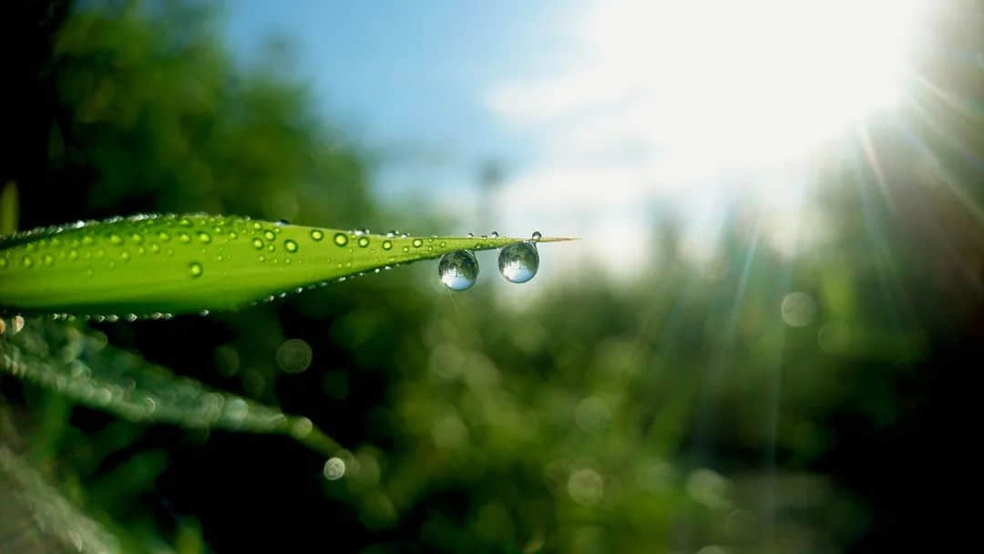 處暑到！又熱又干的天氣該喝什么湯？