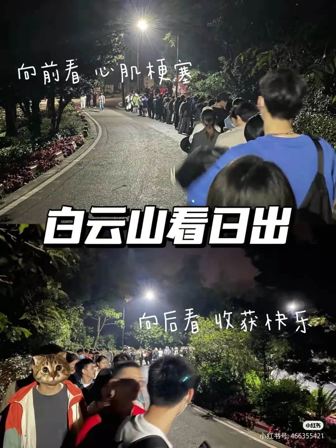 拆掉“笨豬跳”的白云山，正成為廣州年輕人凌晨三點(diǎn)夜爬圣地