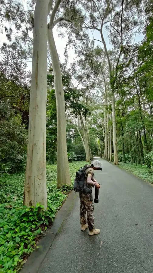 在華南植物園邂逅一位志愿者 || 李健鴻