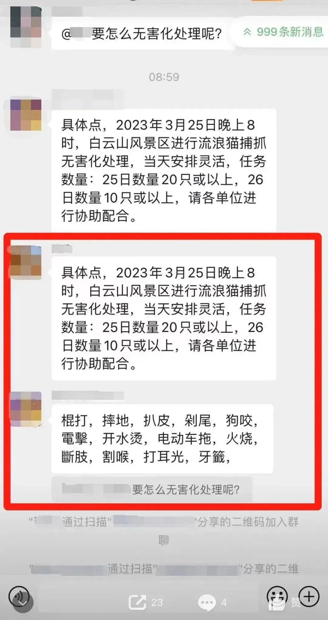 虐貓團(tuán)伙預(yù)謀在廣州公園下毒手，流浪貓命運如何？