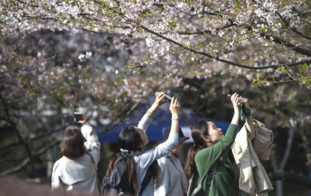 想進(jìn)廣東高校參觀，還要花錢找黃牛？