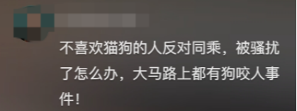 廣東開通寵物專線，你愿意和貓狗同坐一車嗎？