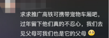 廣東開通寵物專線，你愿意和貓狗同坐一車嗎？