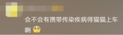 廣東開通寵物專線，你愿意和貓狗同坐一車嗎？