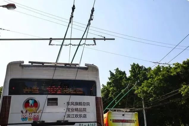 102路擬停運(yùn)，“孖辮”無軌電車未來會被淘汰嗎？